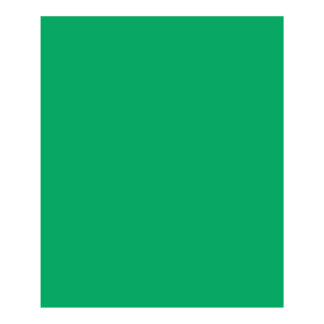 Cricut-Compatible Green Infusible Ink Sheet 30 x 25 cm